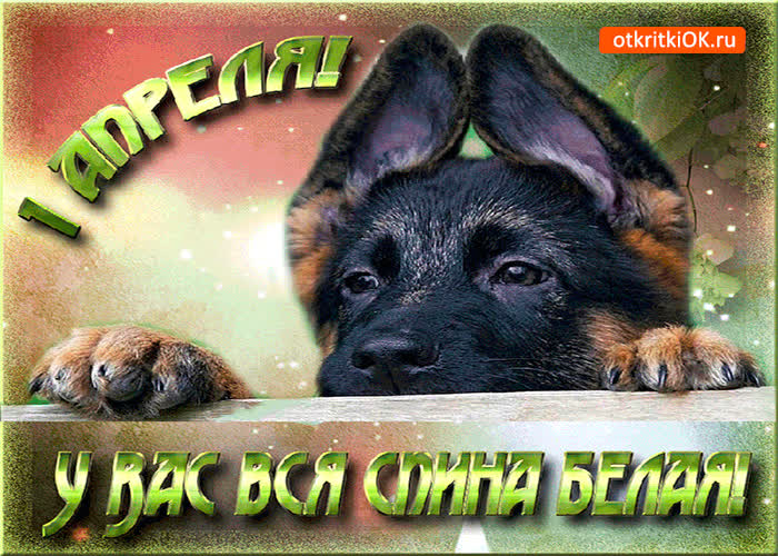 Картинка 1 апреля - у вас вся спина белая