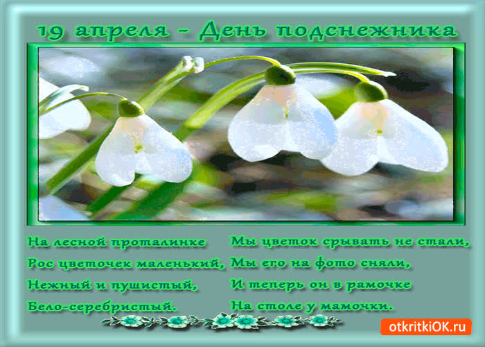 Картинка 19 апреля - день подснежника