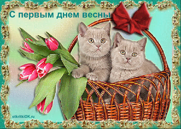 Картинка с 1 марта этого года