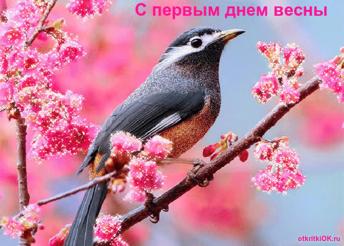 Картинка 1 первый день весны