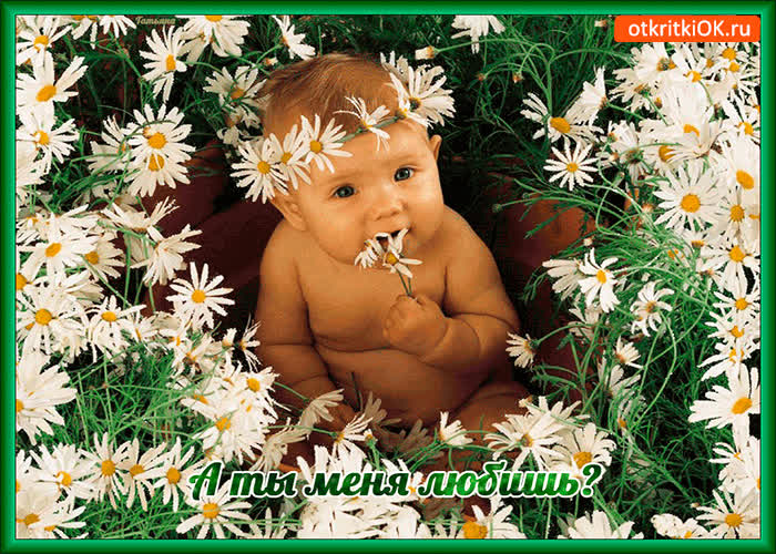 Картинка а ты меня любишь