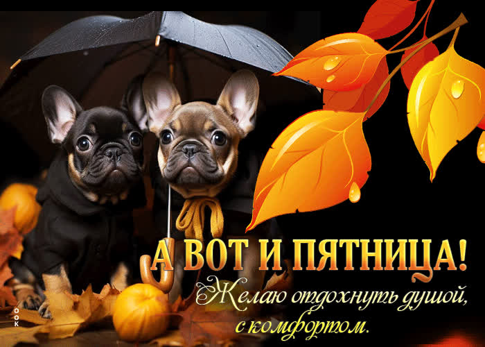 Picture а вот и пятница! желаю отдохнуть душой, с комфортом