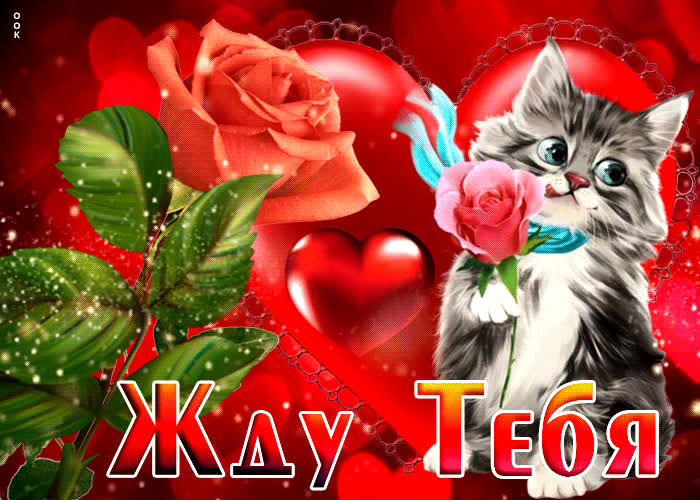 Картинка анимационная открытка с котёнком, жду тебя