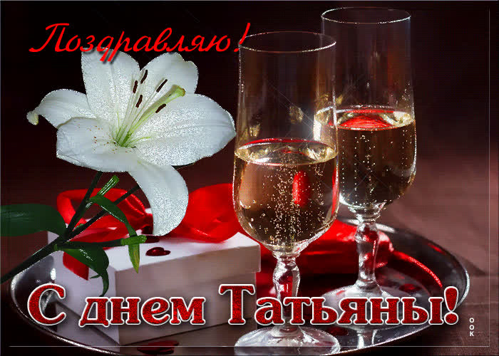 Картинка анимационная картинка татьянин день