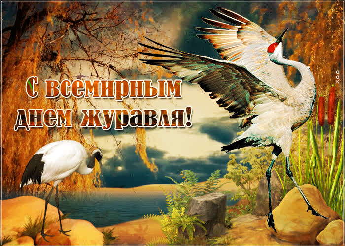 Картинка анимационное поздравление ко дню журавля