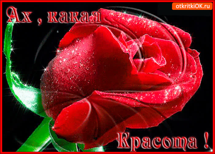 Картинка ах, какая красота