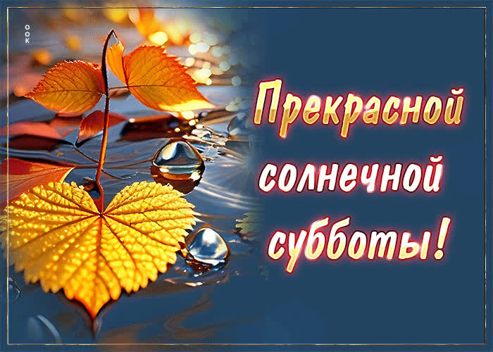 Picture блестящая и яркая осенняя открытка прекрасной солнечной субботы