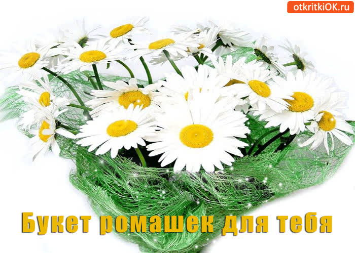 Картинка букет ромашек для тебя, милашки!