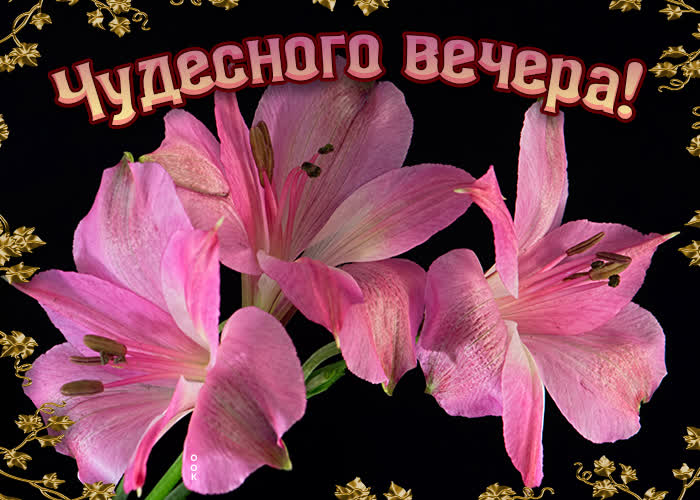 Картинка чудесного вечера тебе