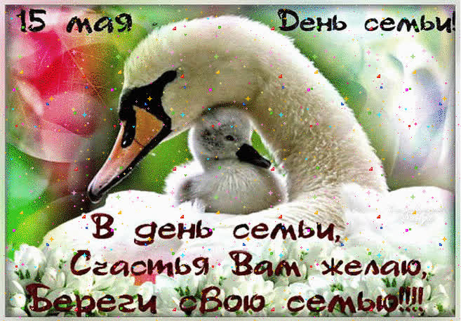 Картинка международный день семьи