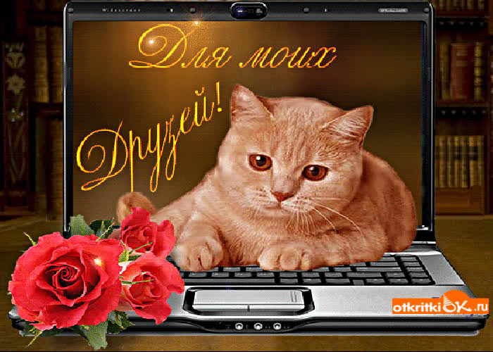 Картинка для моих друзей гиф картинка