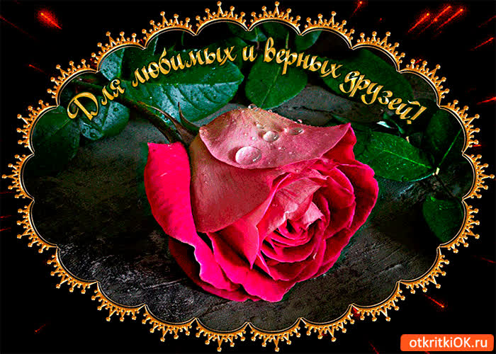 Картинка для любимых и верных друзей