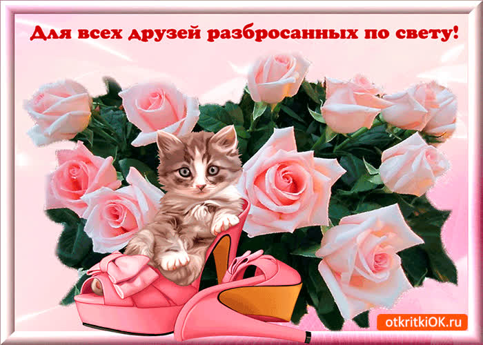 Картинка для всех друзей по свету