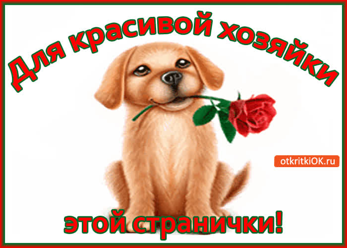 Картинка для красивой хозяйки этой странички!