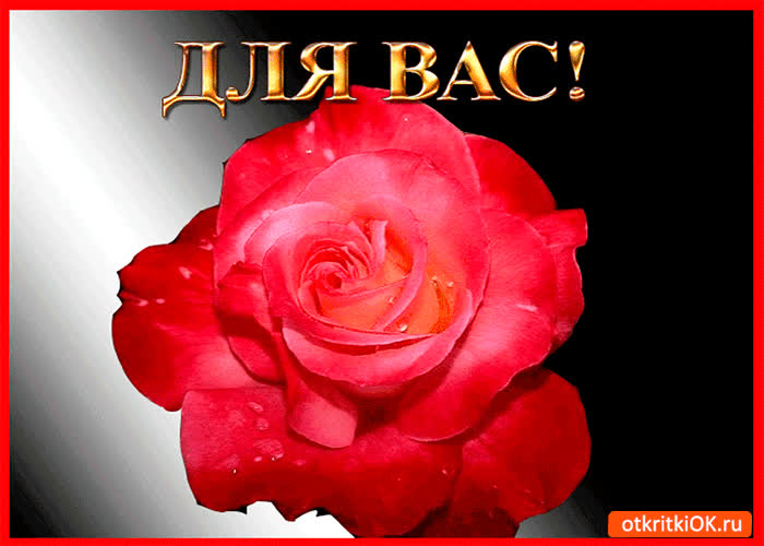 Картинка для вас милейший цветок