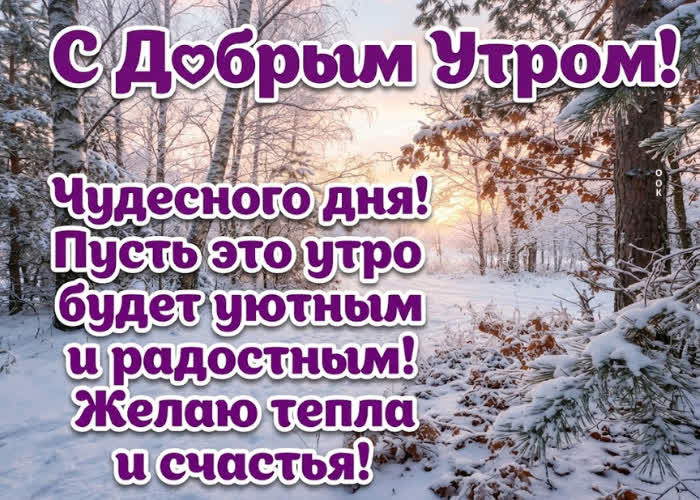 Picture доброе утро! красивого дня, приятных встреч и хорошего настроения!