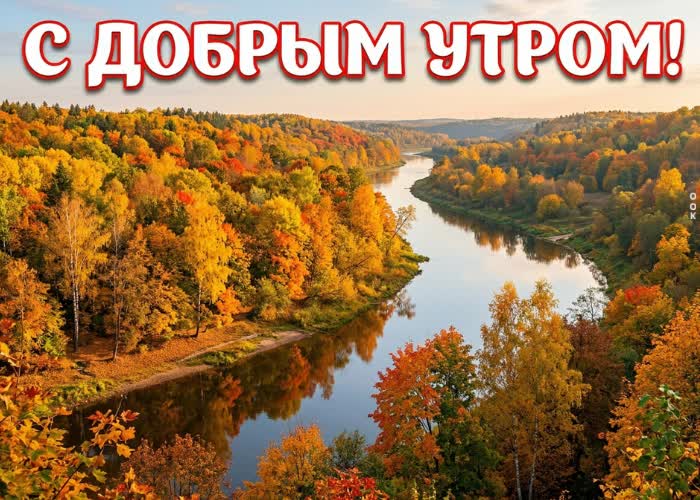 Picture доброе утро! наслаждайся каждым мгновением этой осени.
