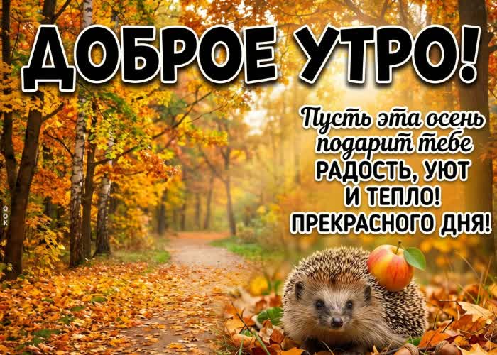 Picture доброе утро! осень раскрашивает мир в особенные цвета.