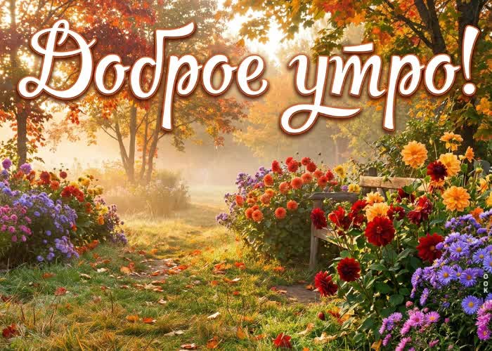 Postcard доброе утро! осенний день уже ждёт тебя.