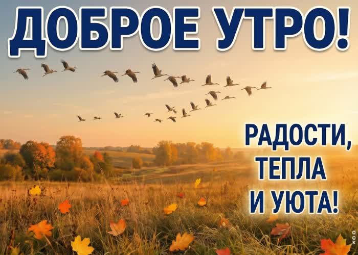 Postcard доброе утро! пускай осень принесёт вдохновение и лёгкость.