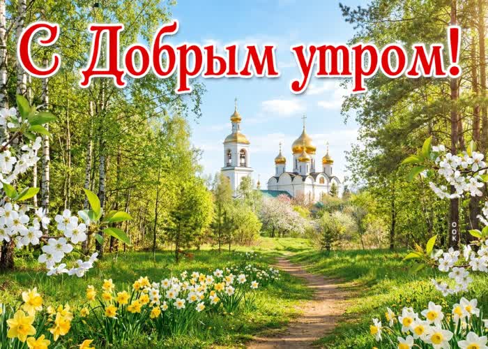Postcard доброе утро! пусть день сложится именно так, как ты хочешь