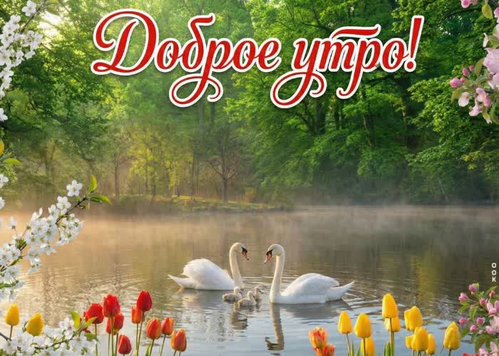 Picture доброе утро! пусть сегодня всё идёт легко и красиво