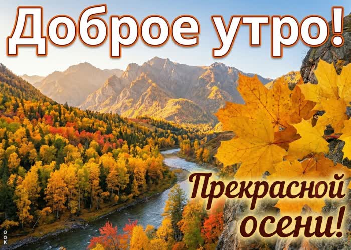 Picture доброе утро! время наслаждаться осенью и её красотой.
