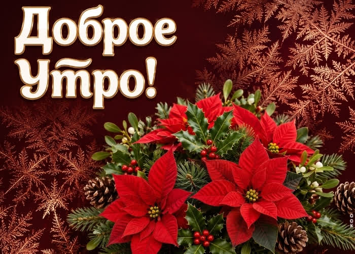 Picture доброго морозного утра