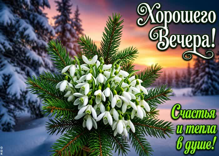 Postcard доброго вечера! желаю тебе теплого и уютного вечера, полного радости и хорошего настроения