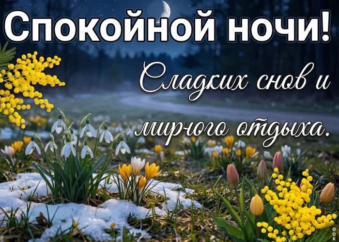 Picture доброй ночи. пусть весенний вечер принесёт отдых, спокойствие и хорошее настроение.