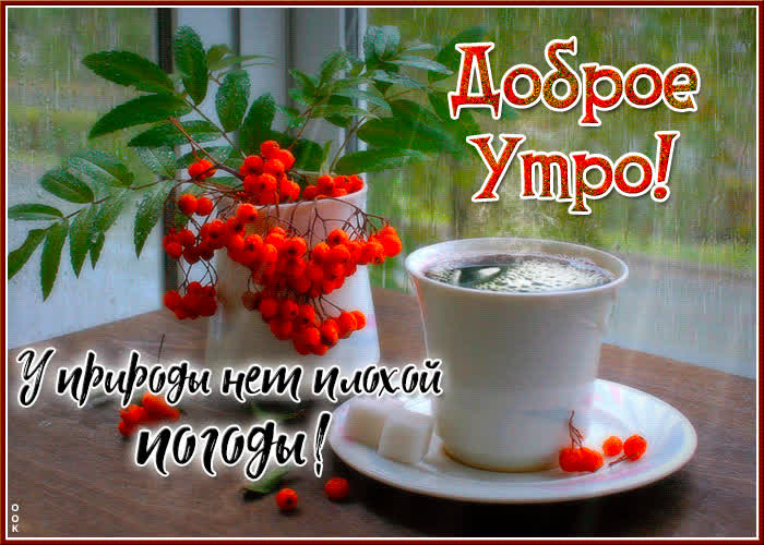 Picture доброжелательная и улыбчивая открытка с дождиком доброе утро!