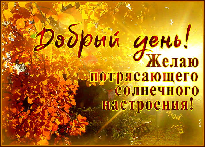 Postcard добрый день! желаю потрясающего солнечного настроения