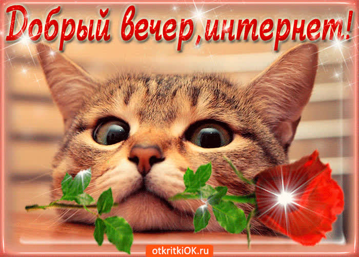 Картинка добрый вечер, интернет