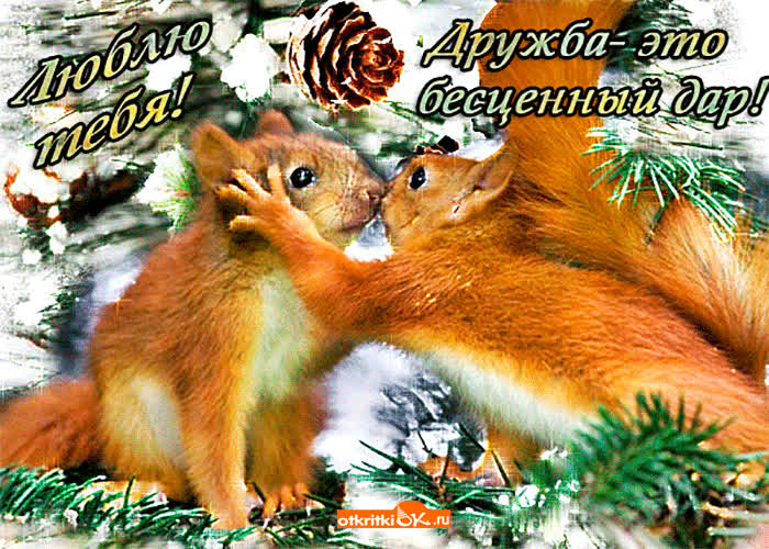Картинка дружба это бесценный дар