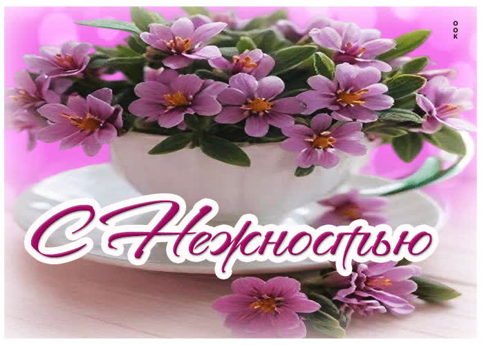 Picture душевная открытка с нежностью