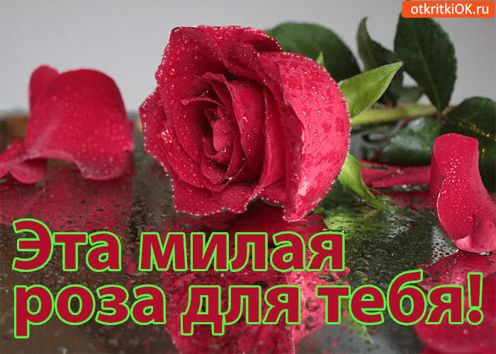 Картинка эта милая роза для тебя!