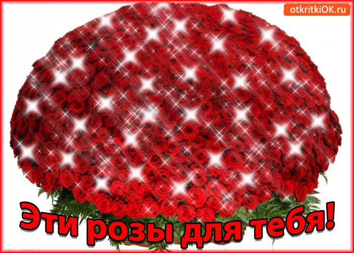 Картинка эти розы для тебя!