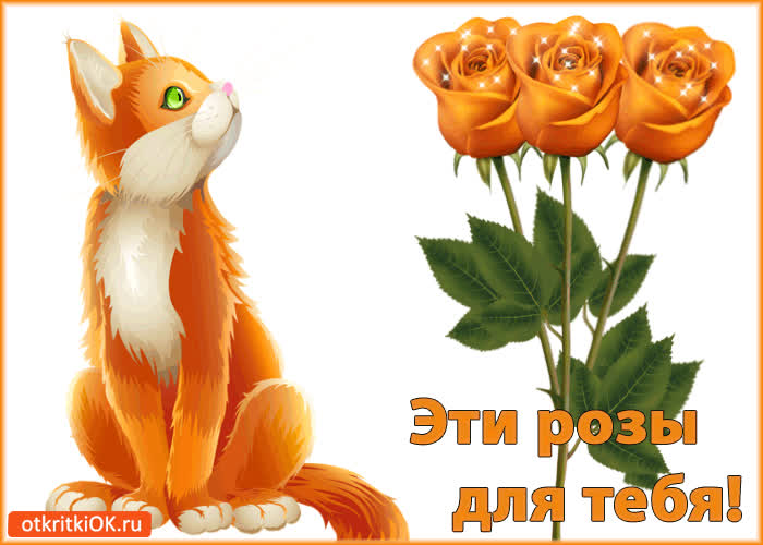 Картинка эти розы для тебя!