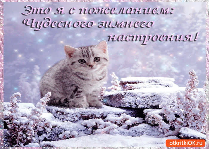 Картинка это я с пожеланием