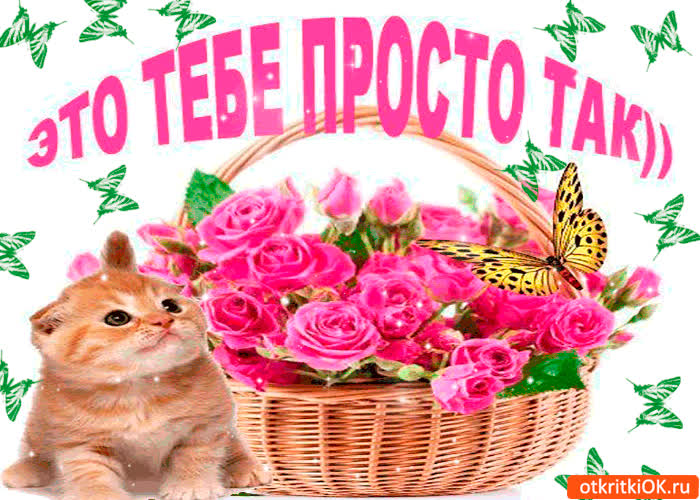 Картинка это тебе просто так
