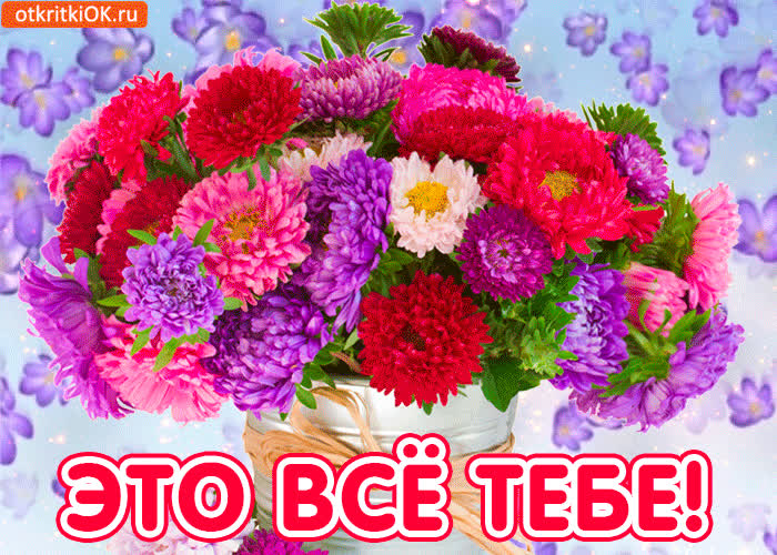 Картинка это всё тебе, подруга