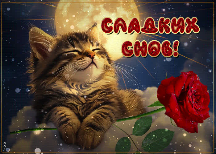 Postcard фантастическая милая открытка сладких снов