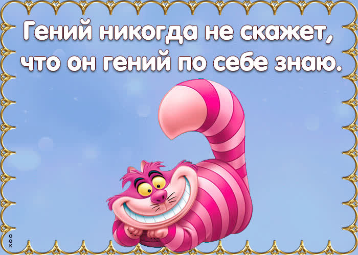 Картинка гений никогда не скажет, что он гений