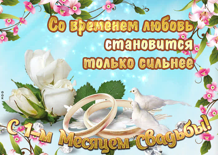 Картинка годовщина совместной жизни 1 месяц