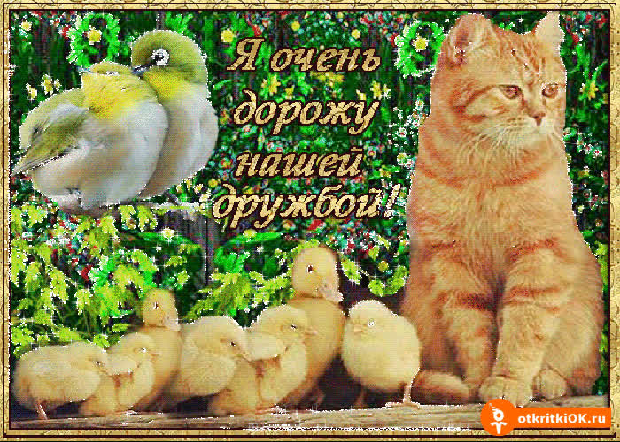 Картинка я очень дорожу нашей дружбой