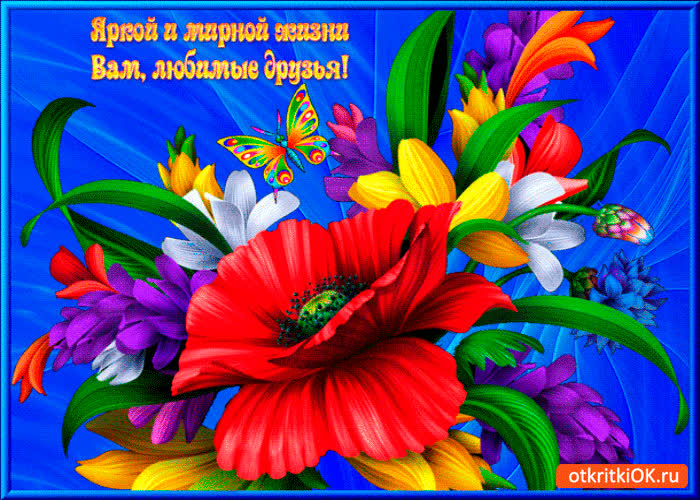 Картинка яркой и мирной жизни