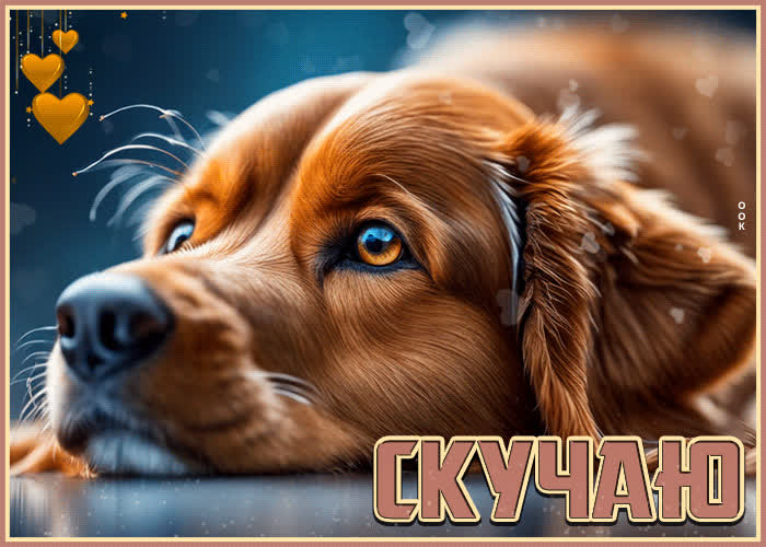 Postcard искренняя и радушная анимационная открытка скучаю