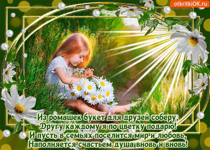 Картинка из ромашек букет для друзей соберу