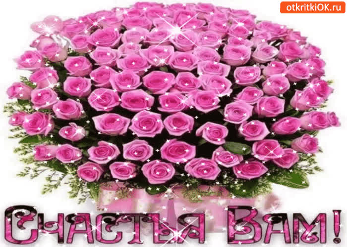 Картинка желаю вам сегодня счастья