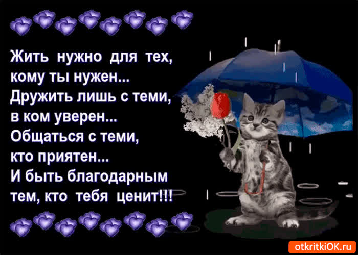 Картинка жить нужно для тех кому ты нужен